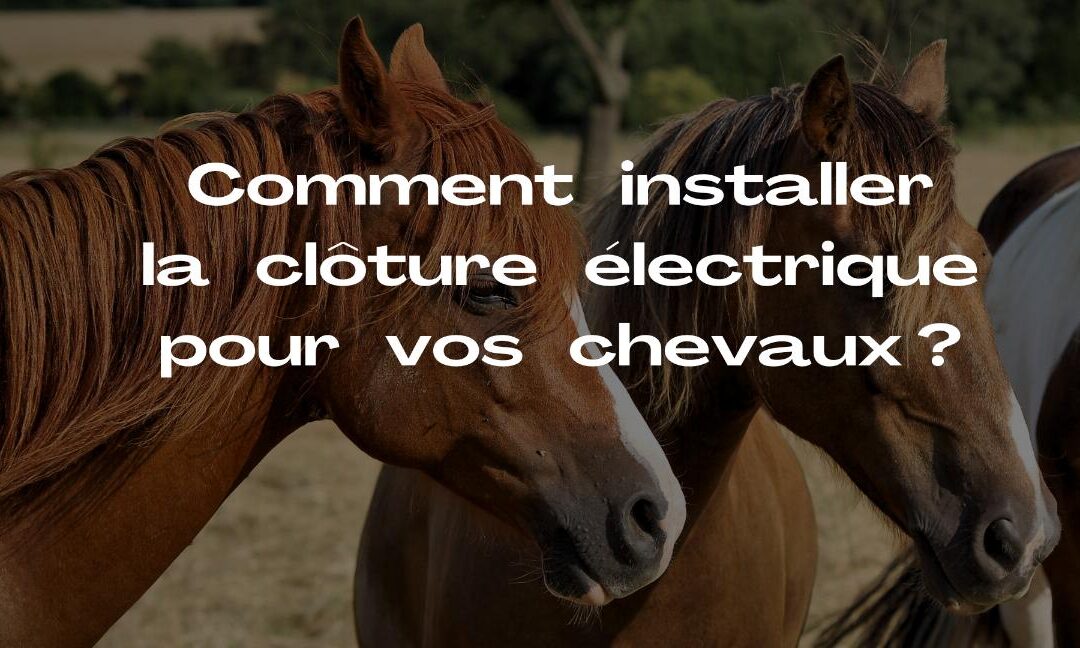Comment installer la clôture électrique pour vos chevaux ?